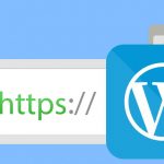 Cómo activar SSL y HTTPS en WordPress