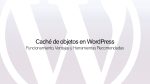 Caché de objetos en WordPress
